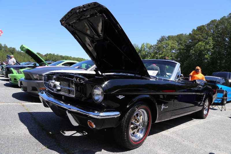 Mustangs-at-the-Mountain-2017-382