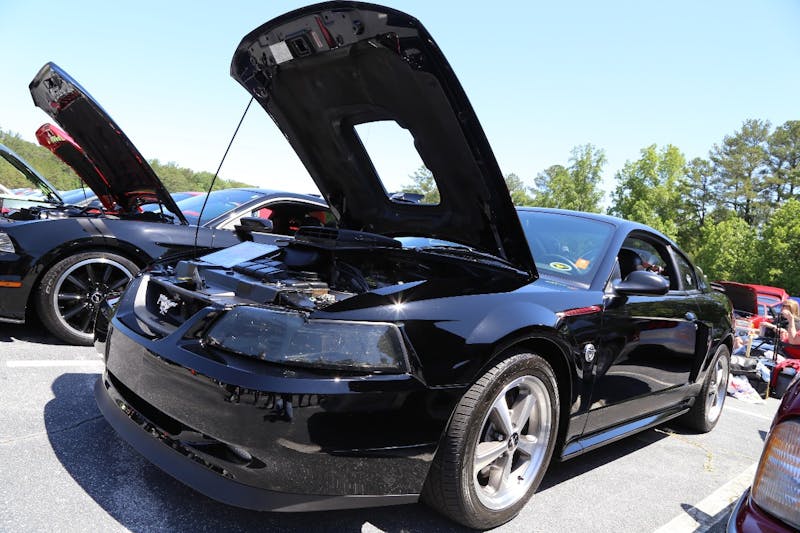 Mustangs-at-the-Mountain-2017-438