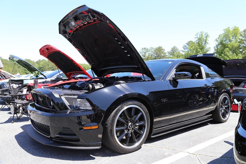 Mustangs-at-the-Mountain-2017-441