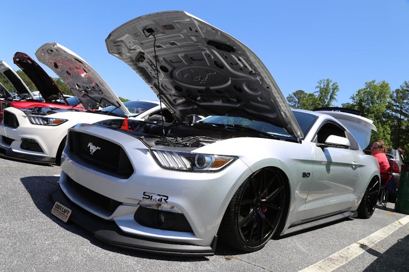 Mustangs-at-the-Mountain-2017-449