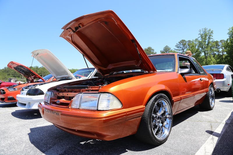 Mustangs-at-the-Mountain-2017-485