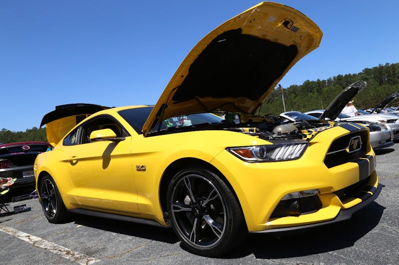 Mustangs-at-the-Mountain-2017-518