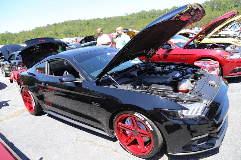 Mustangs-at-the-Mountain-2017-526