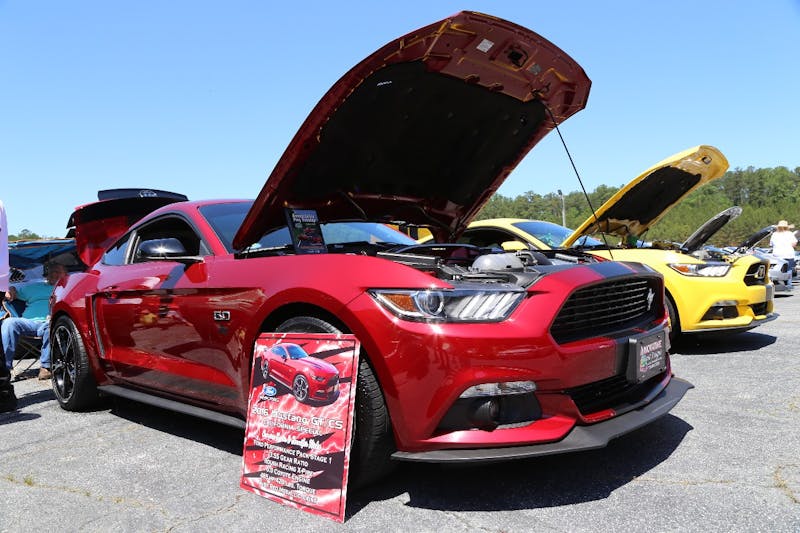 Mustangs-at-the-Mountain-2017-535