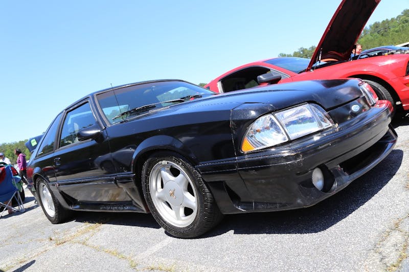 Mustangs-at-the-Mountain-2017-540