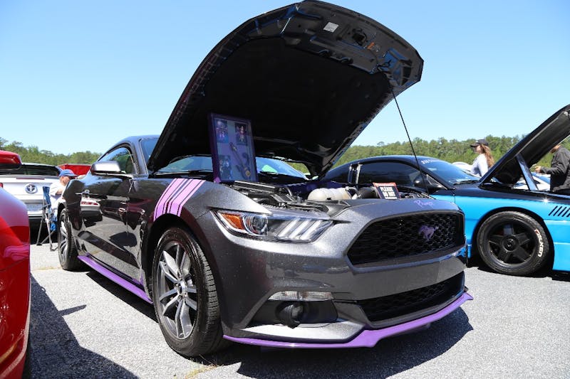 Mustangs-at-the-Mountain-2017-542