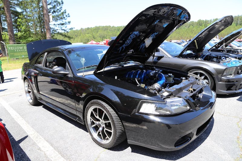 Mustangs-at-the-Mountain-2017-556