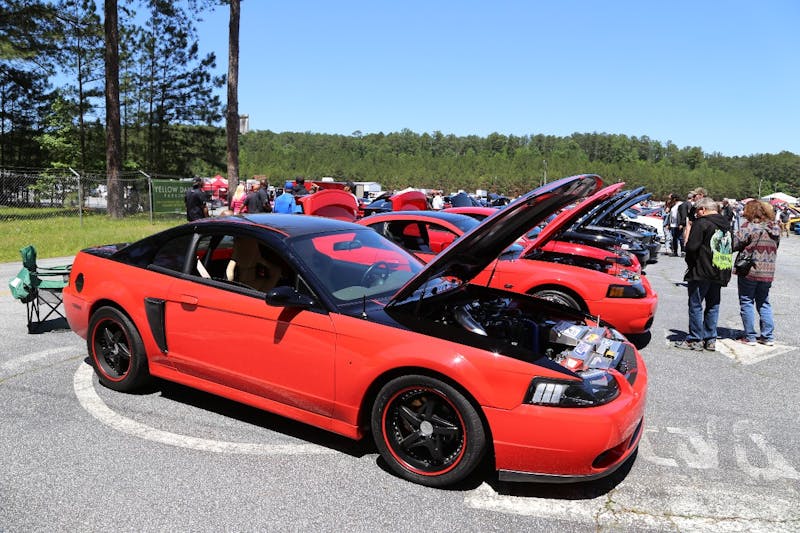 Mustangs-at-the-Mountain-2017-561