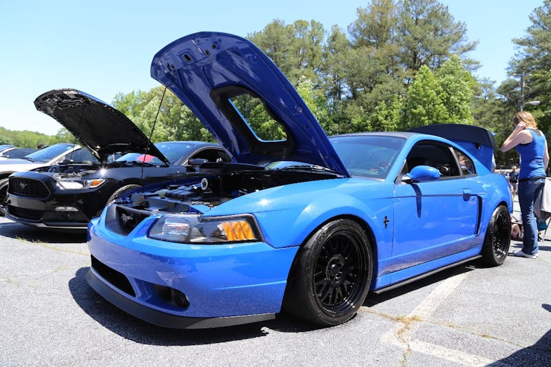 Mustangs-at-the-Mountain-2017-577