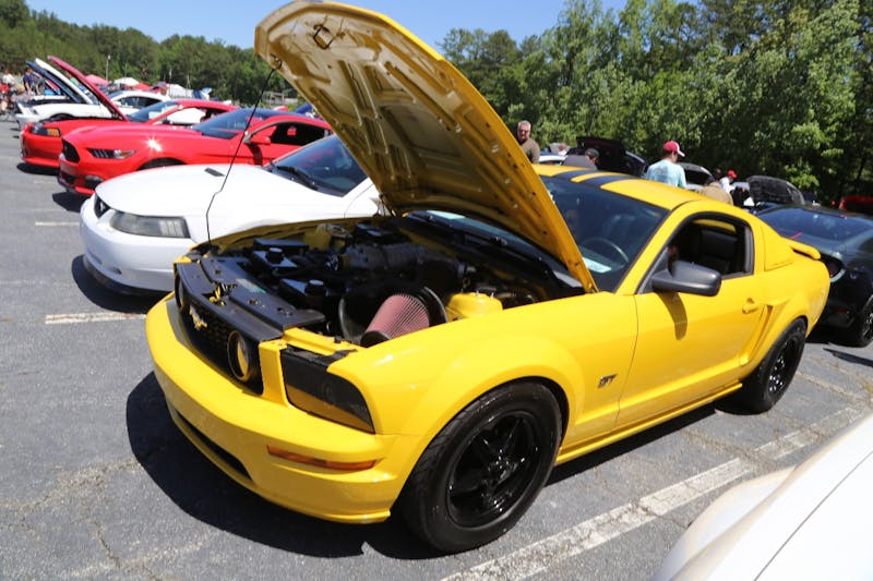 Mustangs-at-the-Mountain-2017-601