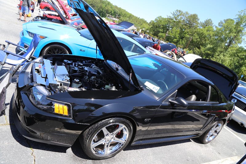 Mustangs-at-the-Mountain-2017-612