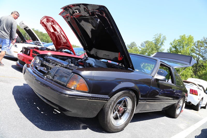 Mustangs-at-the-Mountain-2017-621