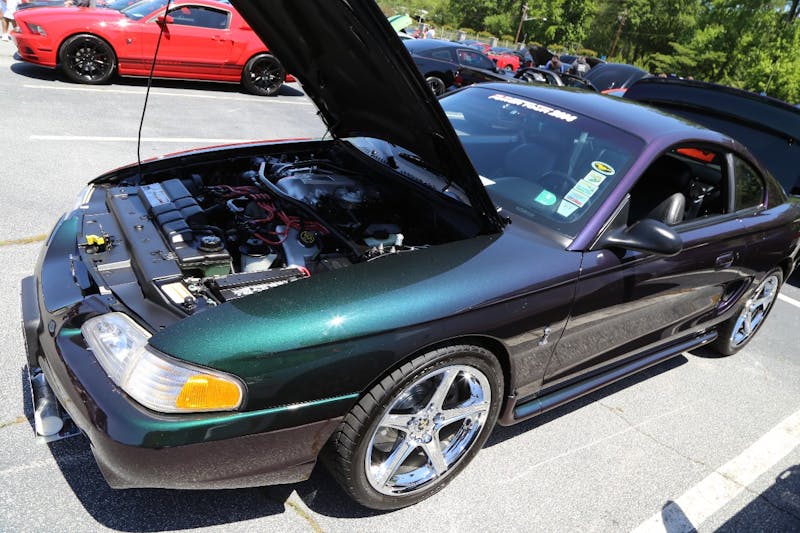 Mustangs-at-the-Mountain-2017-631