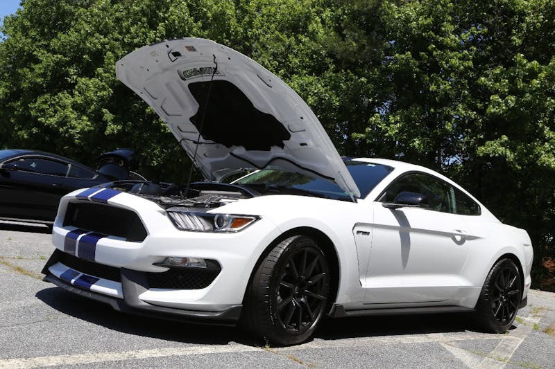 Mustangs-at-the-Mountain-2017-664