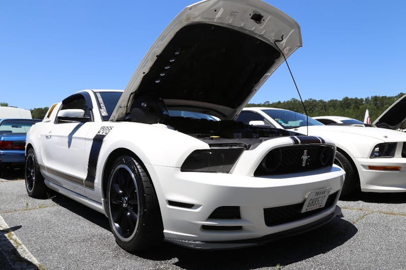 Mustangs-at-the-Mountain-2017-668