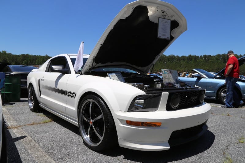 Mustangs-at-the-Mountain-2017-676