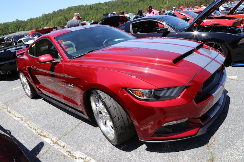 Mustangs-at-the-Mountain-2017-696