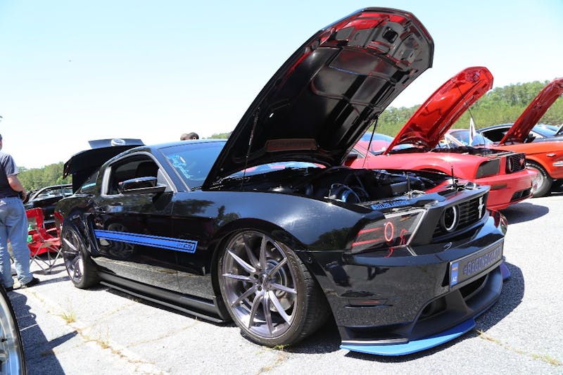 Mustangs-at-the-Mountain-2017-700