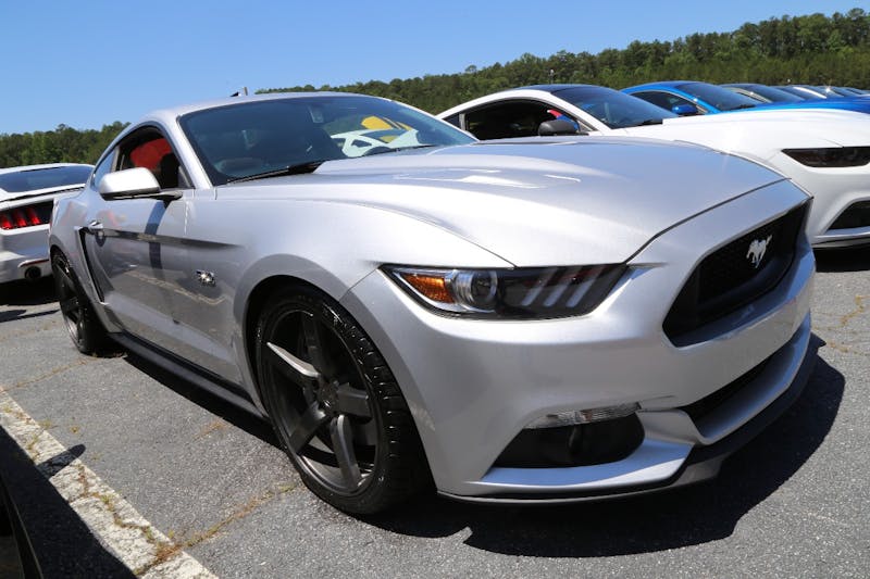 Mustangs-at-the-Mountain-2017-707