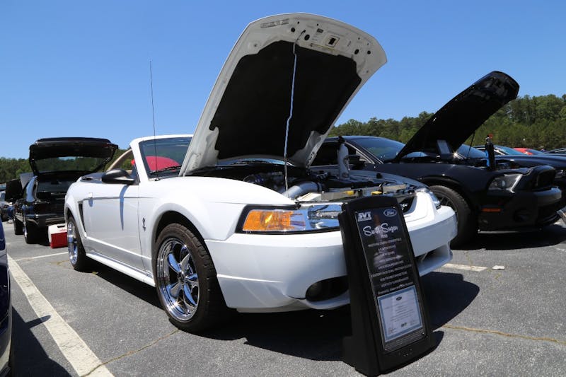 Mustangs-at-the-Mountain-2017-735