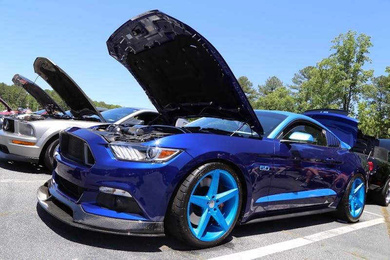 Mustangs-at-the-Mountain-2017-753