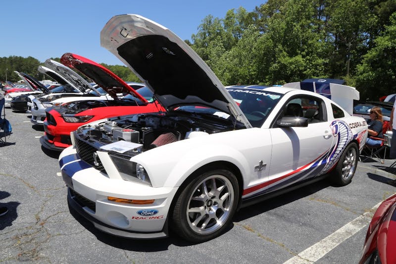 Mustangs-at-the-Mountain-2017-777