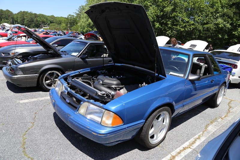 Mustangs-at-the-Mountain-2017-794