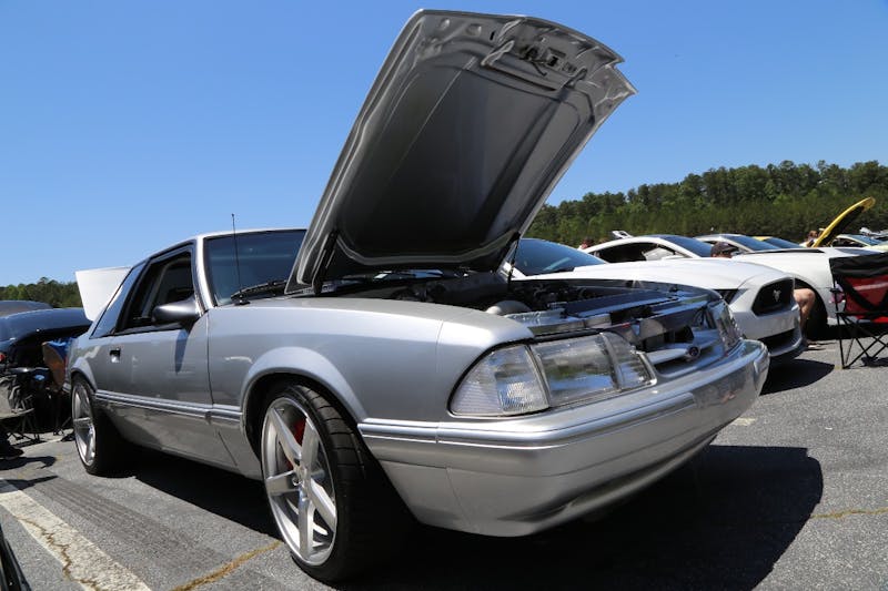 Mustangs-at-the-Mountain-2017-802