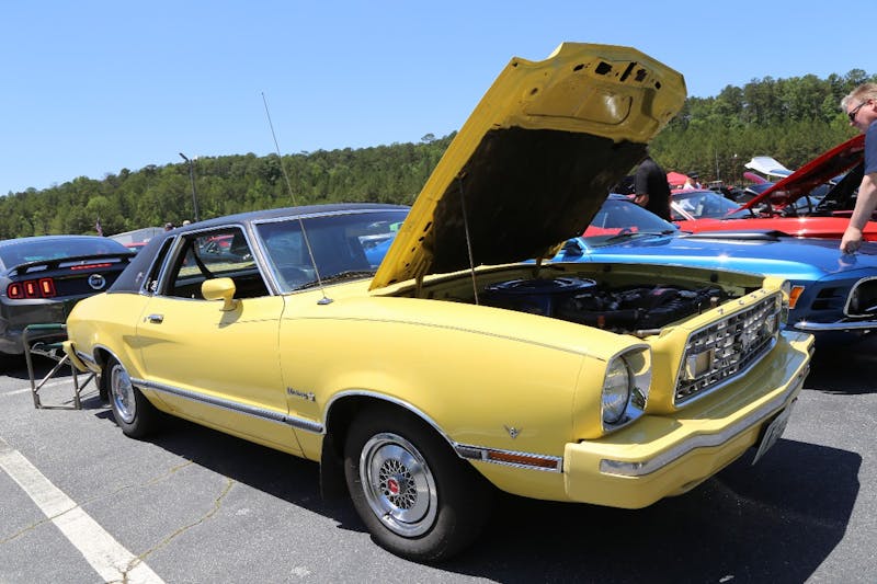 Mustangs-at-the-Mountain-2017-810