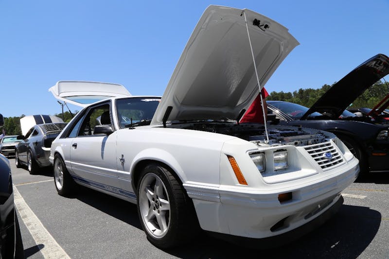 Mustangs-at-the-Mountain-2017-818