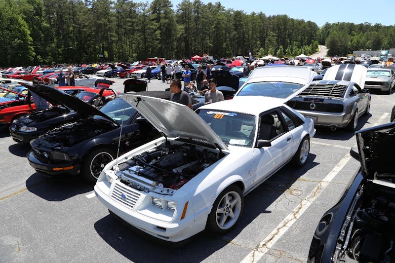 Mustangs-at-the-Mountain-2017-832