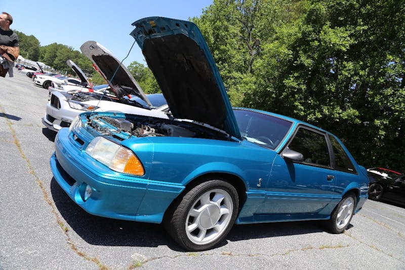 Mustangs-at-the-Mountain-2017-836