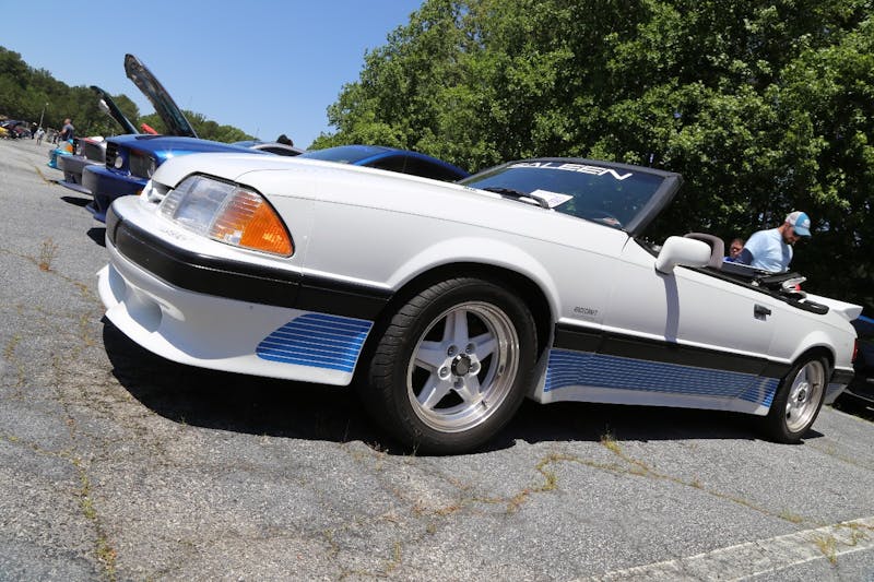 Mustangs-at-the-Mountain-2017-842