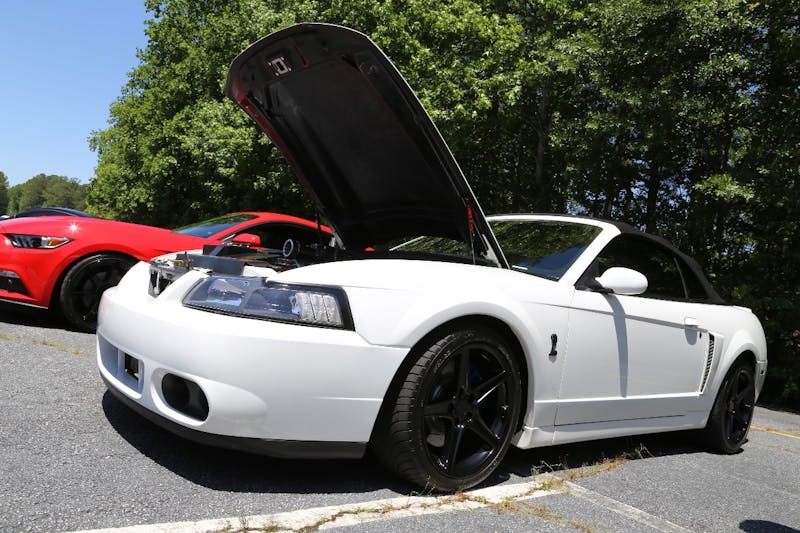 Mustangs-at-the-Mountain-2017-851