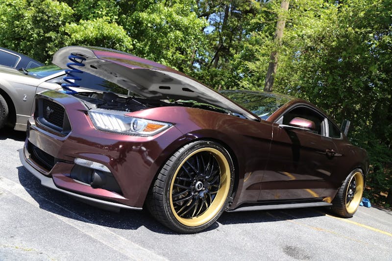 Mustangs-at-the-Mountain-2017-861