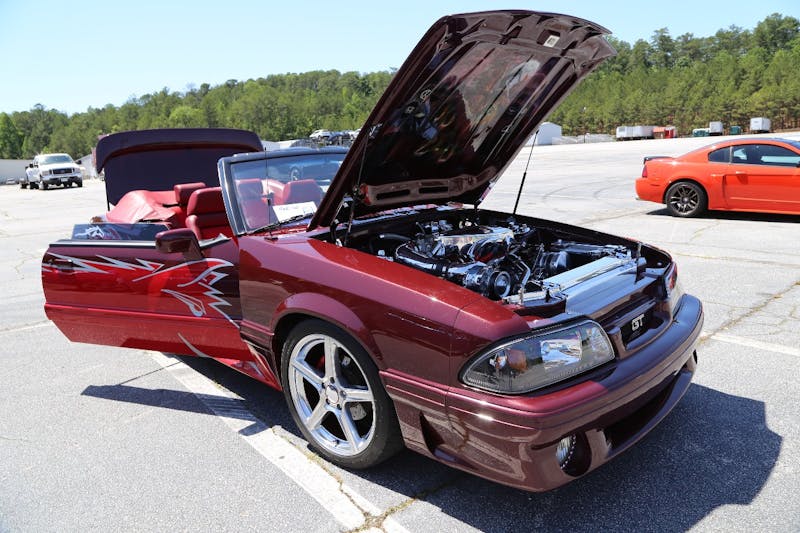 Mustangs-at-the-Mountain-2017-872