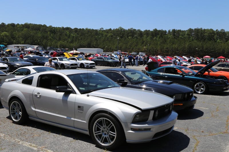 Mustangs-at-the-Mountain-2017-882