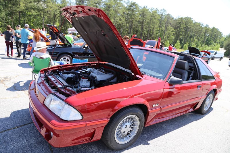Mustangs-at-the-Mountain-2017-892