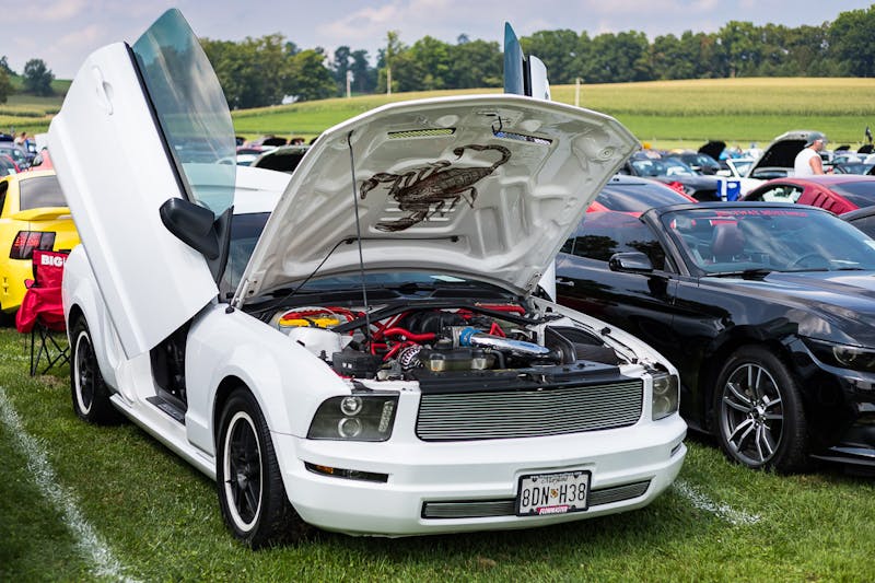 mustangs-invade-maple-grove-at-massive-americanmuscle-show-0056