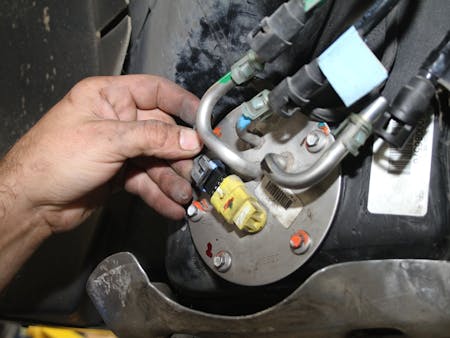 IMG_3275GR IMG_3275GR