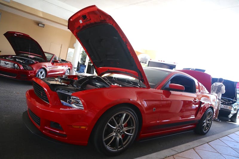 Ponies-Under-The-Palms-2016-329