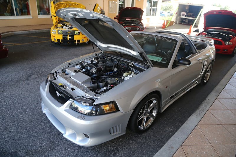 Ponies-Under-The-Palms-2016-334