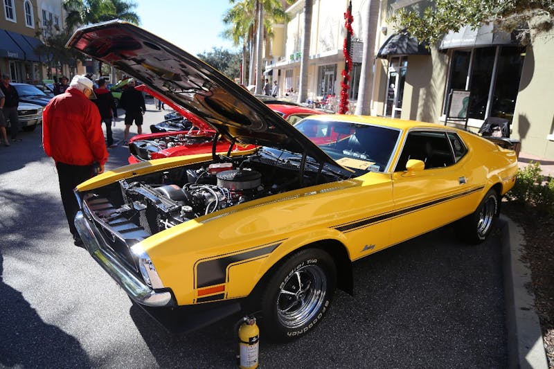 Ponies-Under-The-Palms-2016-356