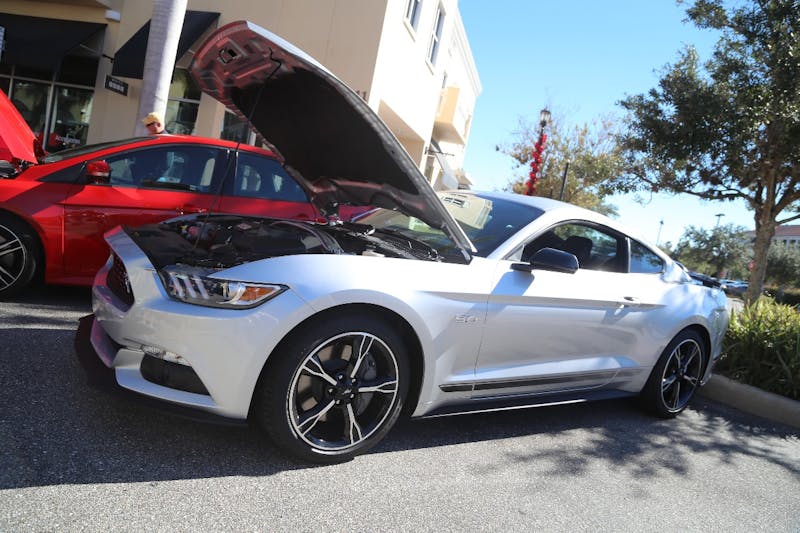 Ponies-Under-The-Palms-2016-370