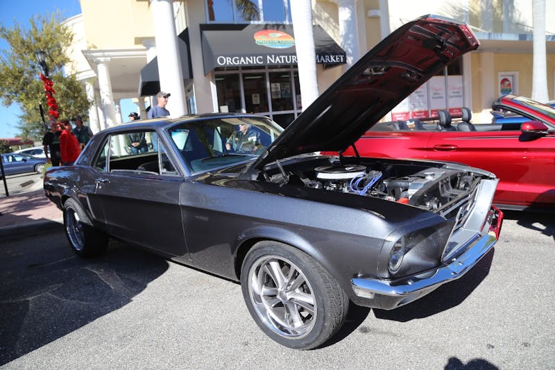 Ponies-Under-The-Palms-2016-373