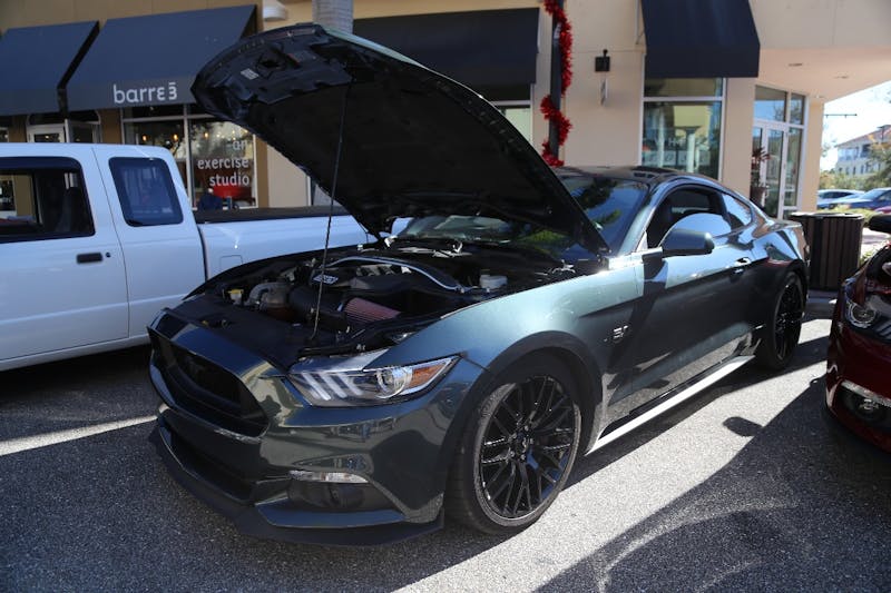 Ponies-Under-The-Palms-2016-380