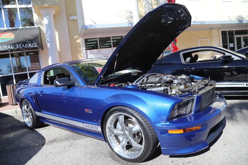 Ponies-Under-The-Palms-2016-384