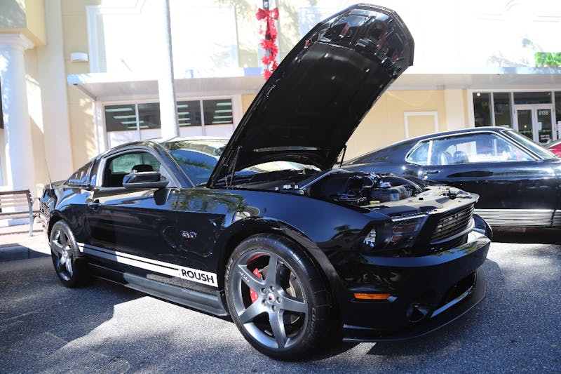 Ponies-Under-The-Palms-2016-390