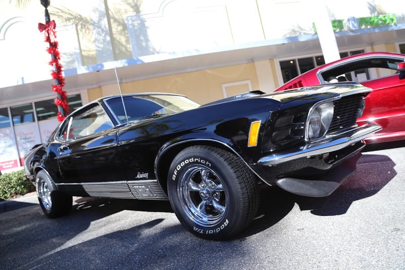 Ponies-Under-The-Palms-2016-396