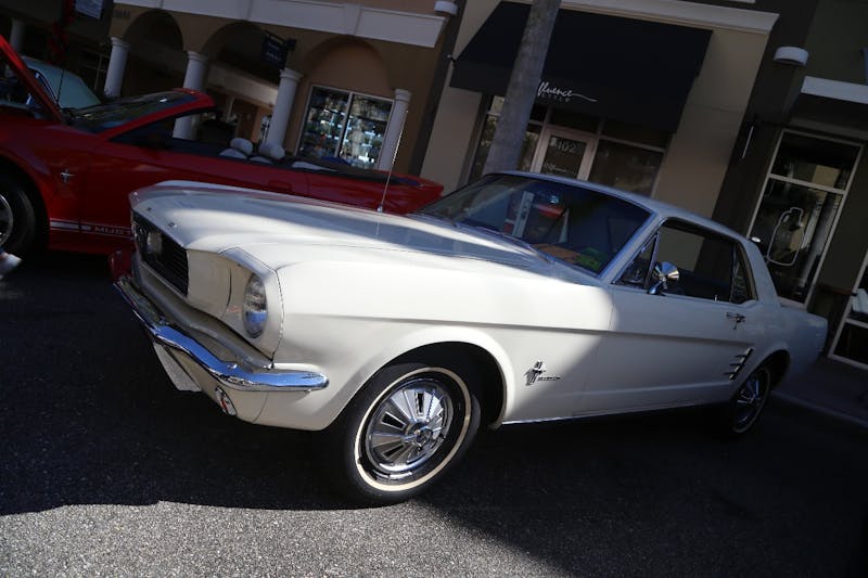 Ponies-Under-The-Palms-2016-427